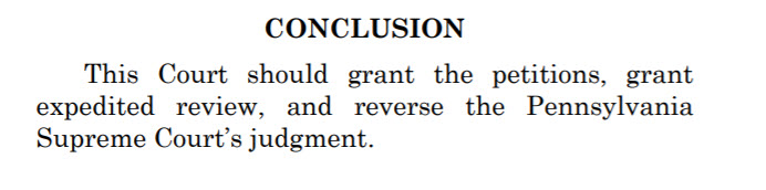 Amicus Brief Conclusion