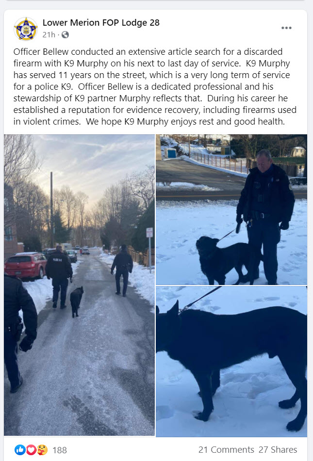 K9 Murphy Retires
